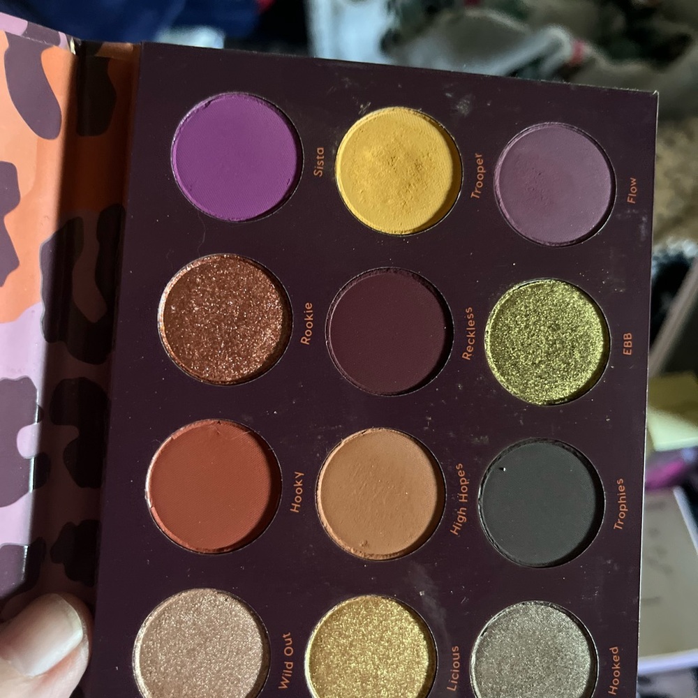 Colourpop limited edition, good sport eyeshadow, palette. Great color story.